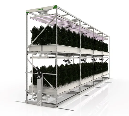 Automated Fertilizer Irrigation System Aeroponic Vertical Farm Grow Rack for Flowering Stage