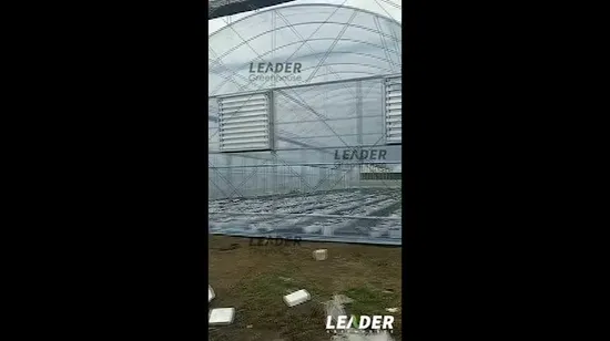 Low Cost Agricultural Smart Commercial Multi Span Glass Greenhouse for Sale 