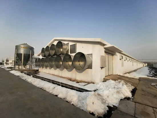 Raisetech Environment Control System for Improved Air Quality and Comfort 