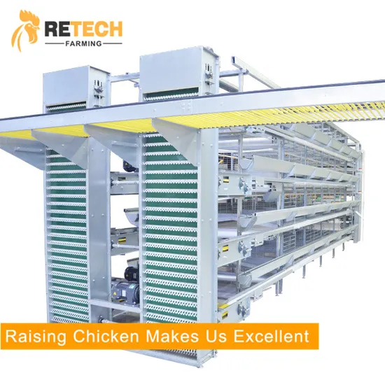 Egg Chicken Cage Poultry Farm Environment Control System for Layers 