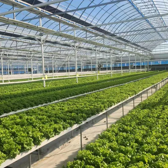 2024 Agriculture Fertilizer