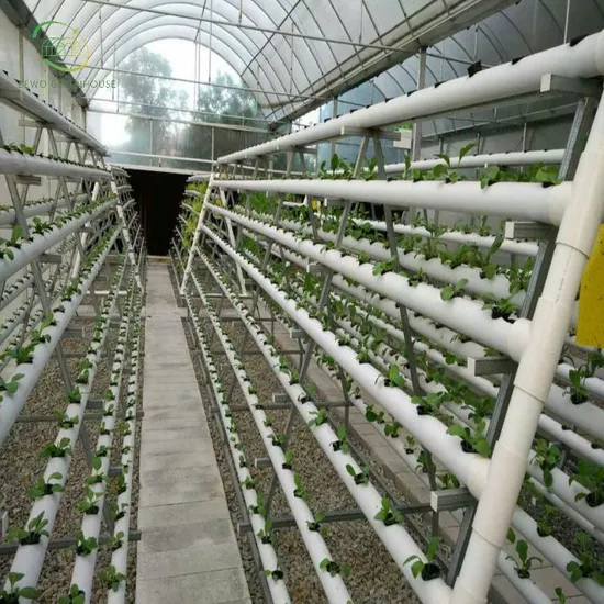 Agricultural Water and Fertilizer Integrated Planting Irrigation Hydroponic Cultivation System 